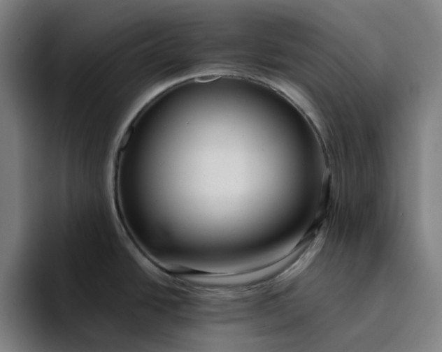 X0000094381438200711162122