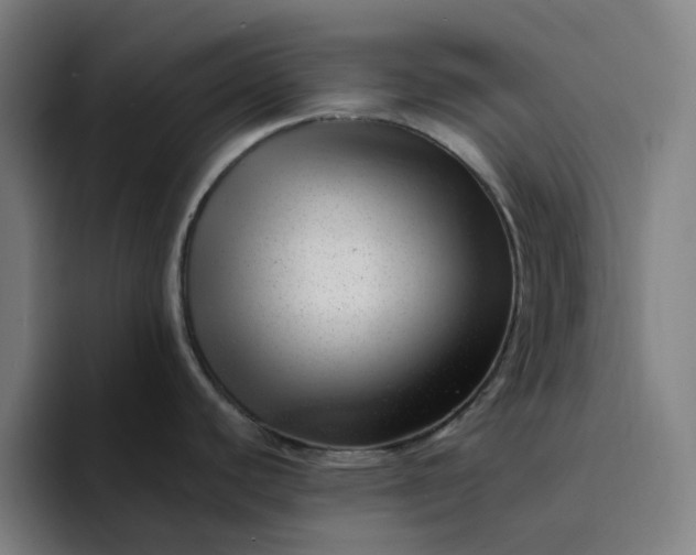 X0000094381440200711162122