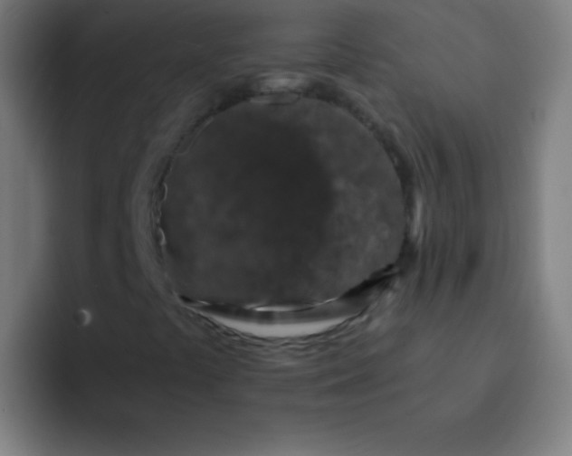 X0000094381441200711162121
