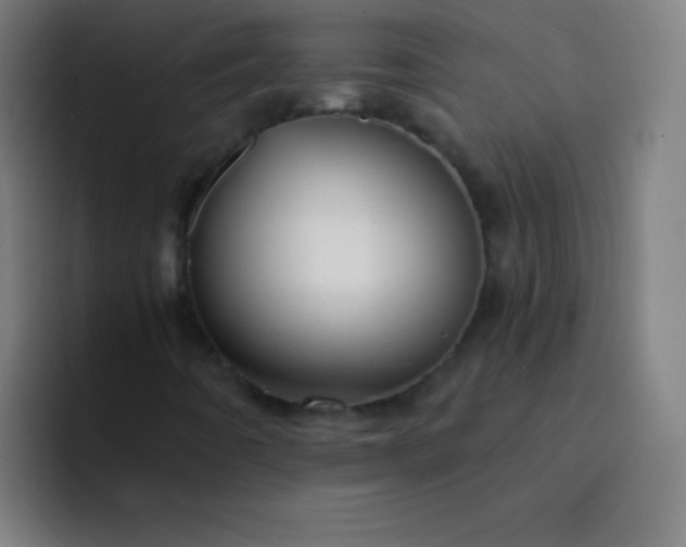 X0000094381442200711162121