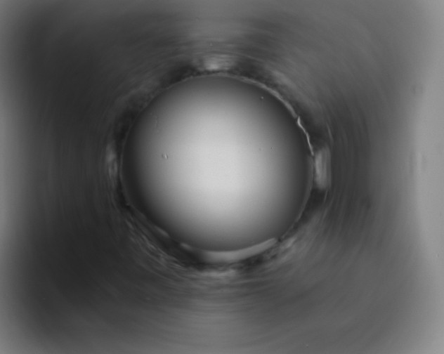 X0000094381443200711162121