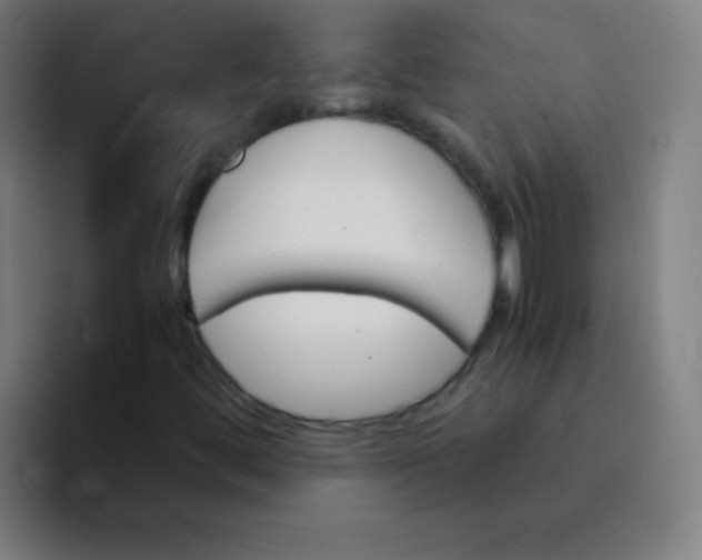 X0000094381444200711162121