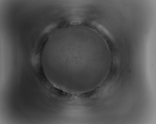 X0000094381445200711162121
