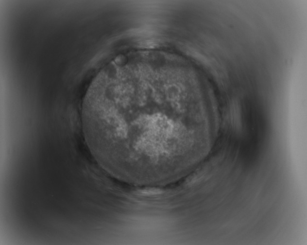 X0000094381446200711162121