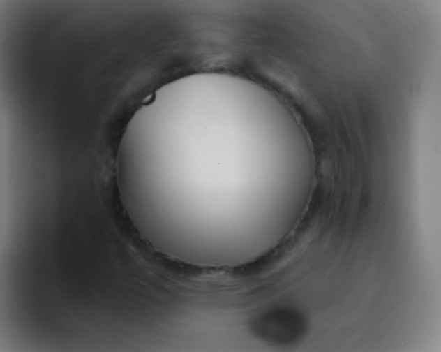 X0000094381447200711162121