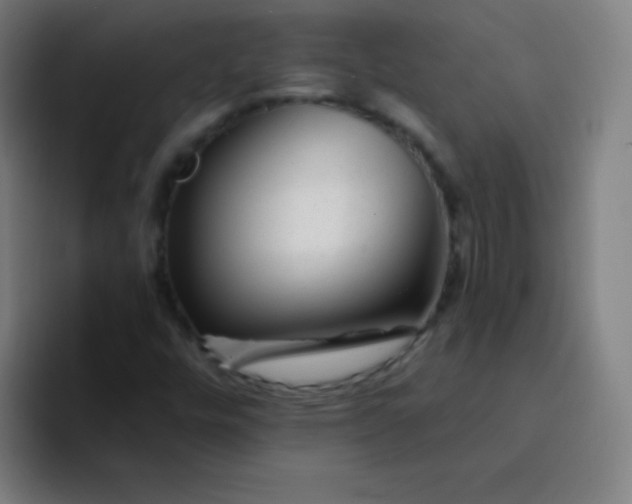 X0000094381448200711162121