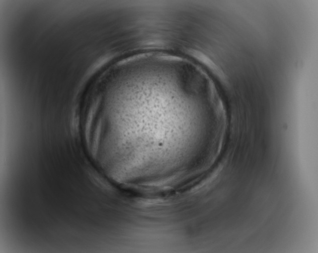 X0000094381450200711162121