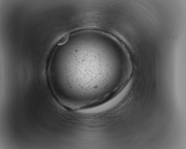 X0000094381452200711162121