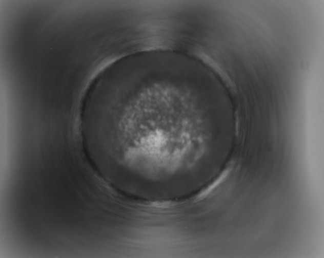 X0000094381453200711162121