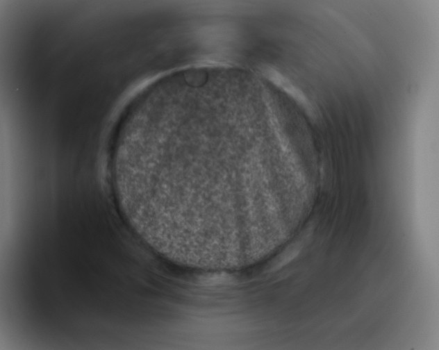 X0000094381454200711162121