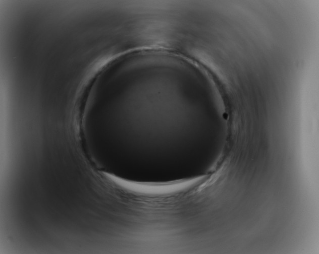 X0000094381455200711162121