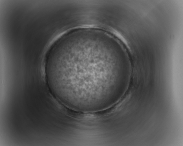 X0000094381456200711162121