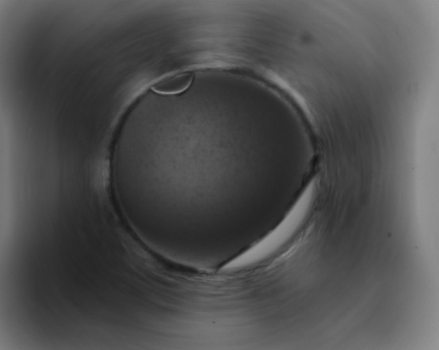 X0000094381459200711162121