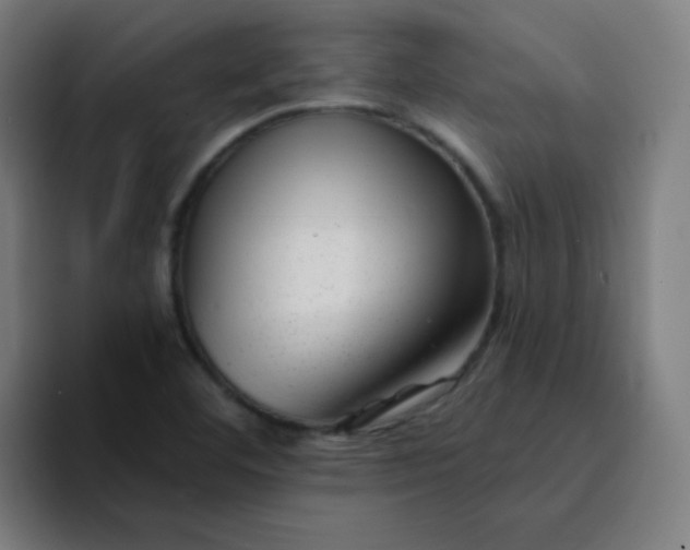 X0000094381460200711162121