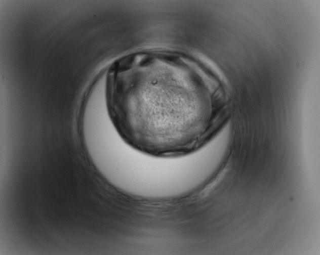 X0000094381461200711162121
