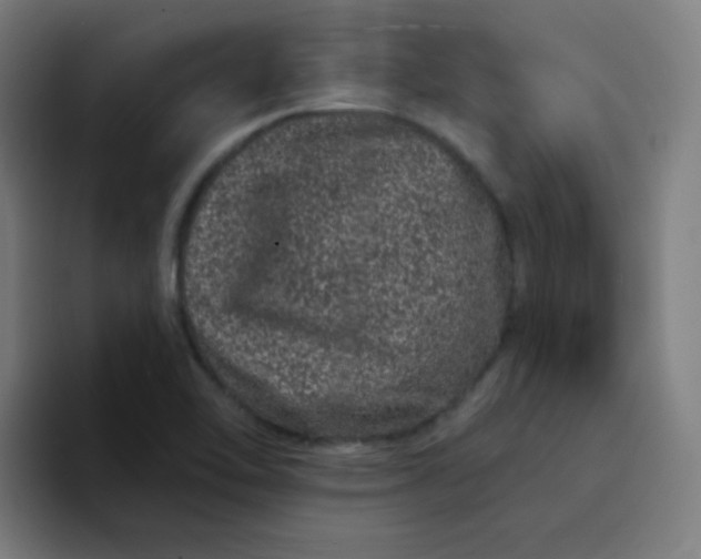 X0000094381462200711162121