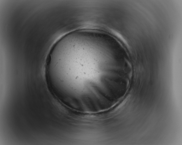 X0000094381463200711162121