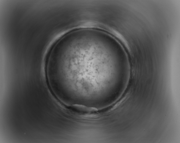 X0000094381464200711162121