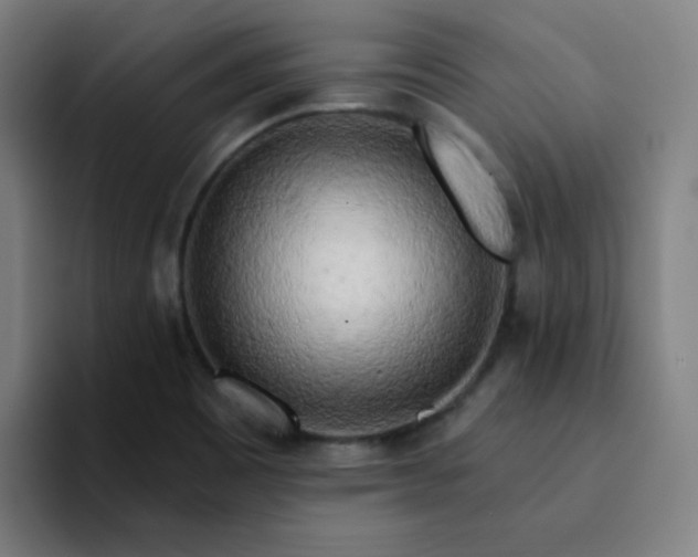 X0000094381465200711162121