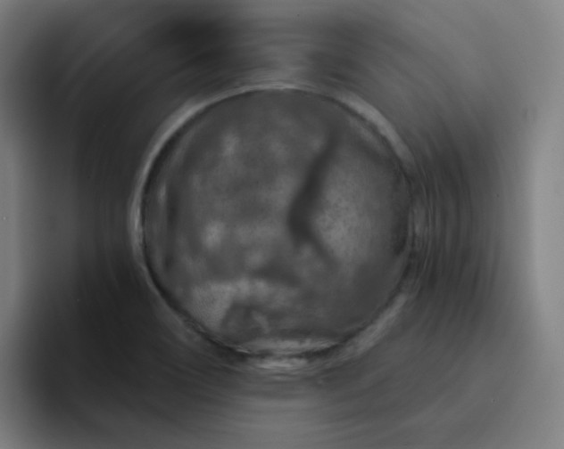 X0000094381466200711162121