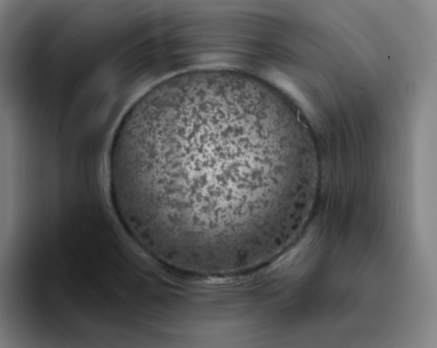 X0000094381467200711162121