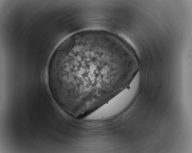 X0000094381468200711162121