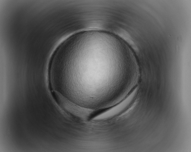 X0000094381469200711162121