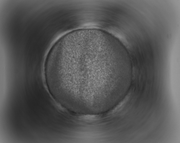 X0000094381470200711162121