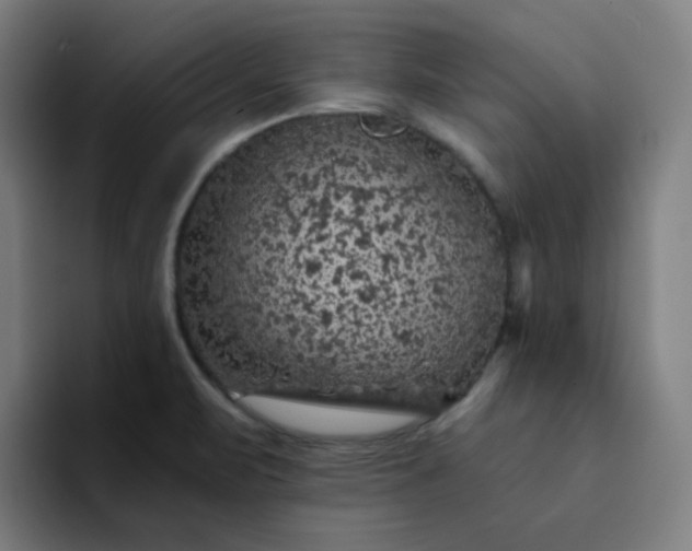 X0000094381471200711162121