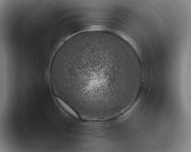 X0000094381473200711162121