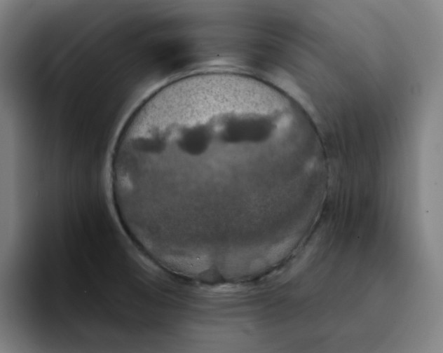 X0000094381474200711162121