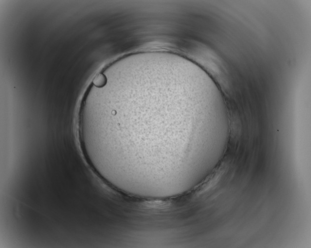 X0000094381478200711162121