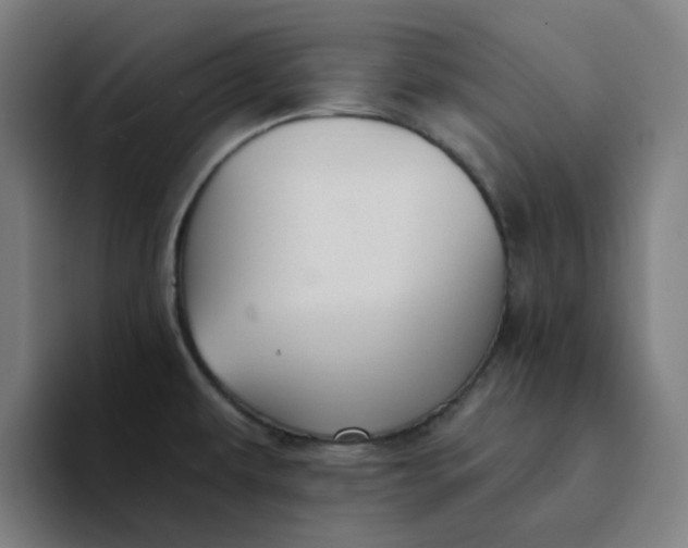 X0000094381479200711162121