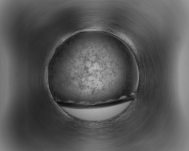 X0000094381480200711162121