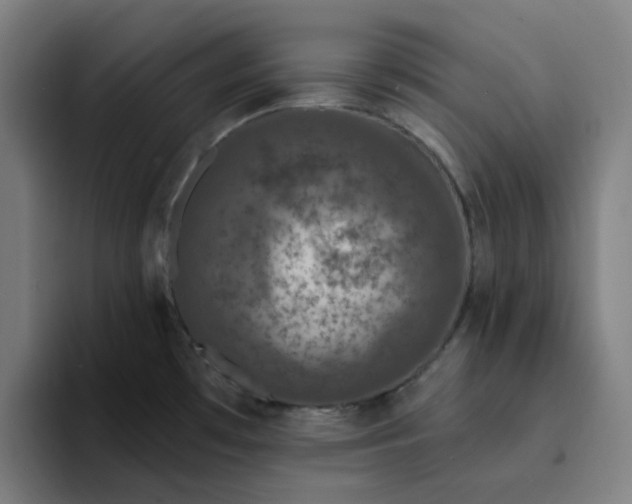 X0000094381481200711162121