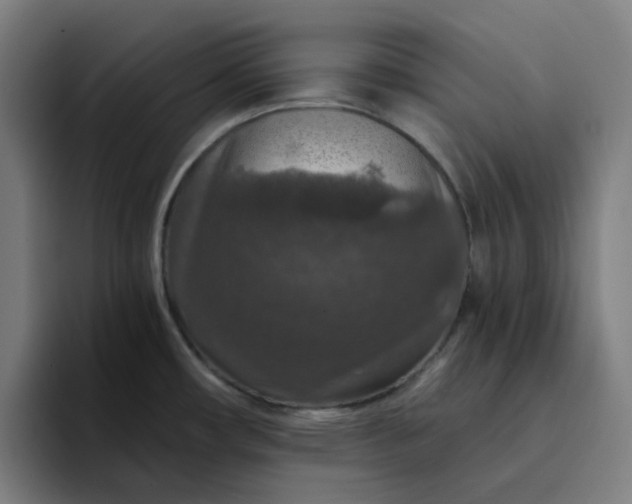 X0000094381482200711162121