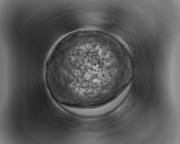 X0000094381484200711162121