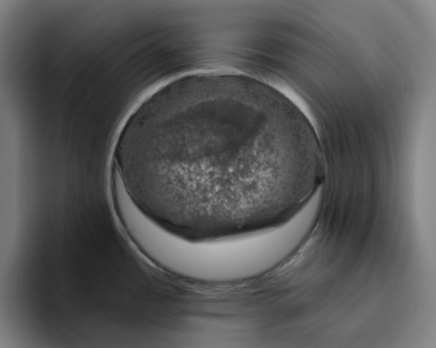 X0000094381485200711162120