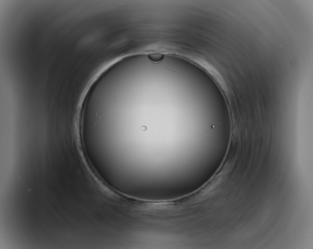 X0000094381486200711162120