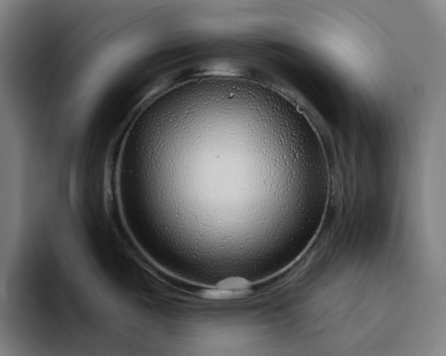 X0000094381487200711162120