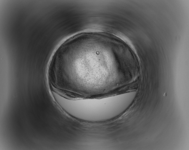 X0000094381488200711162120