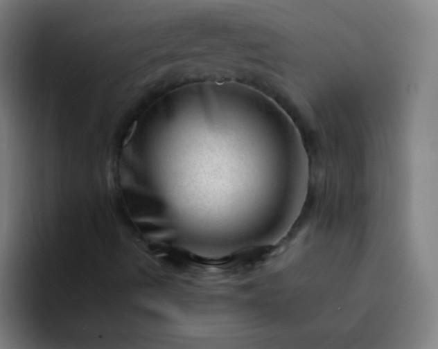 X0000094381490200711162120