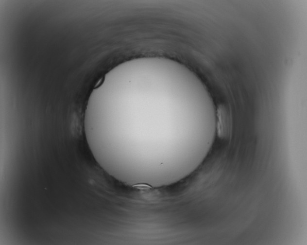 X0000094381491200711162120