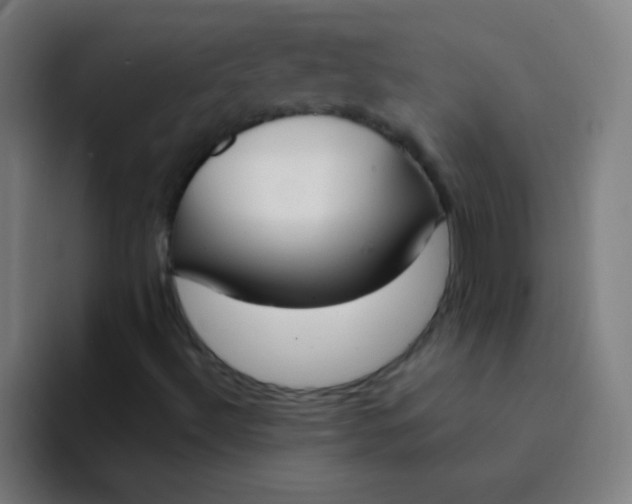 X0000094381492200711162120