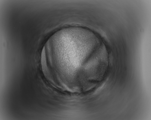 X0000094381494200711162120