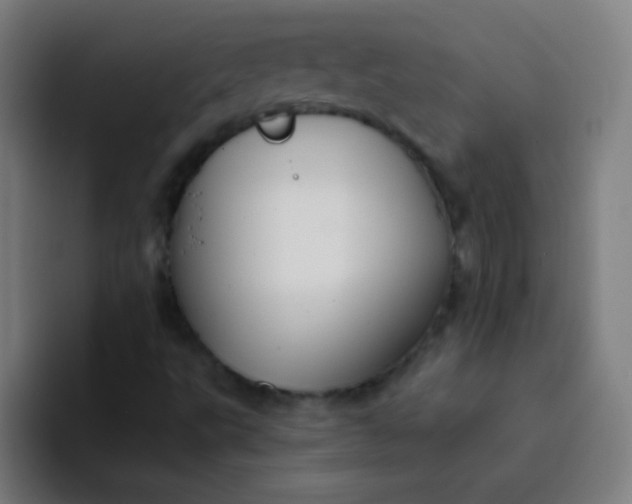 X0000094381495200711162120