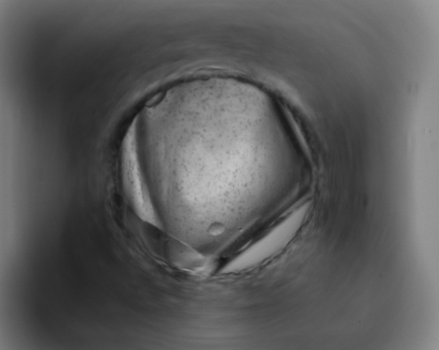 X0000094381496200711162120