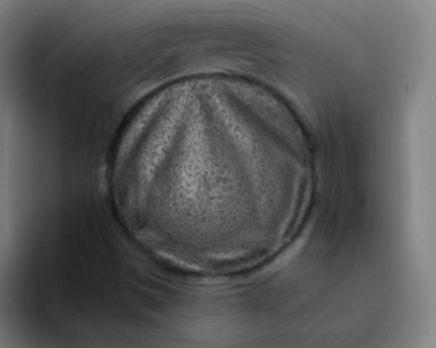 X0000094381497200711162120