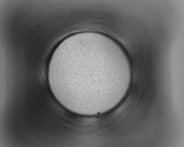 X0000094381498200711162120