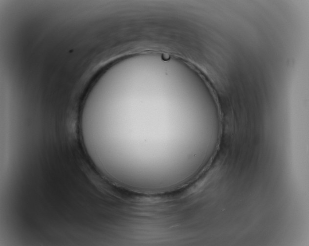 X0000094381499200711162120